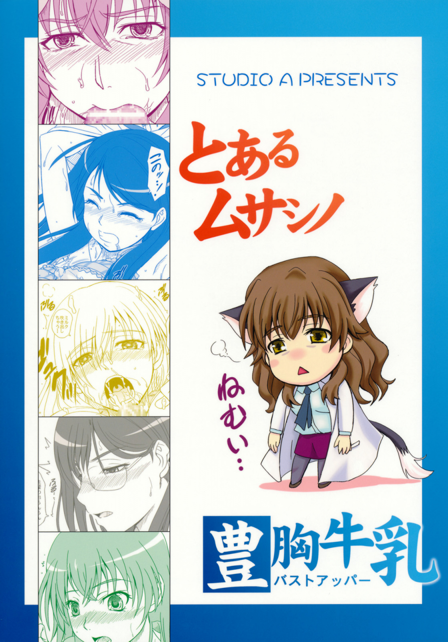 sc50-studio-a-inanaki-shiki-toaru-musashino-bust-upper-toaru-majutsu-no-index-english-ehcove