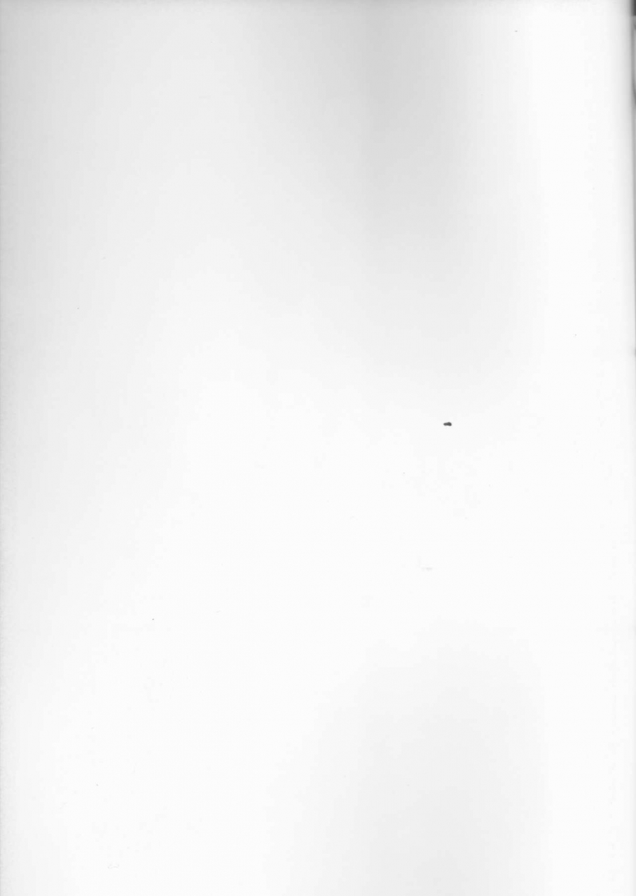 sc54-nagaredamaya-dodo-fuguri-bang-you-shindou-pesorna-persona-4english-ehcove