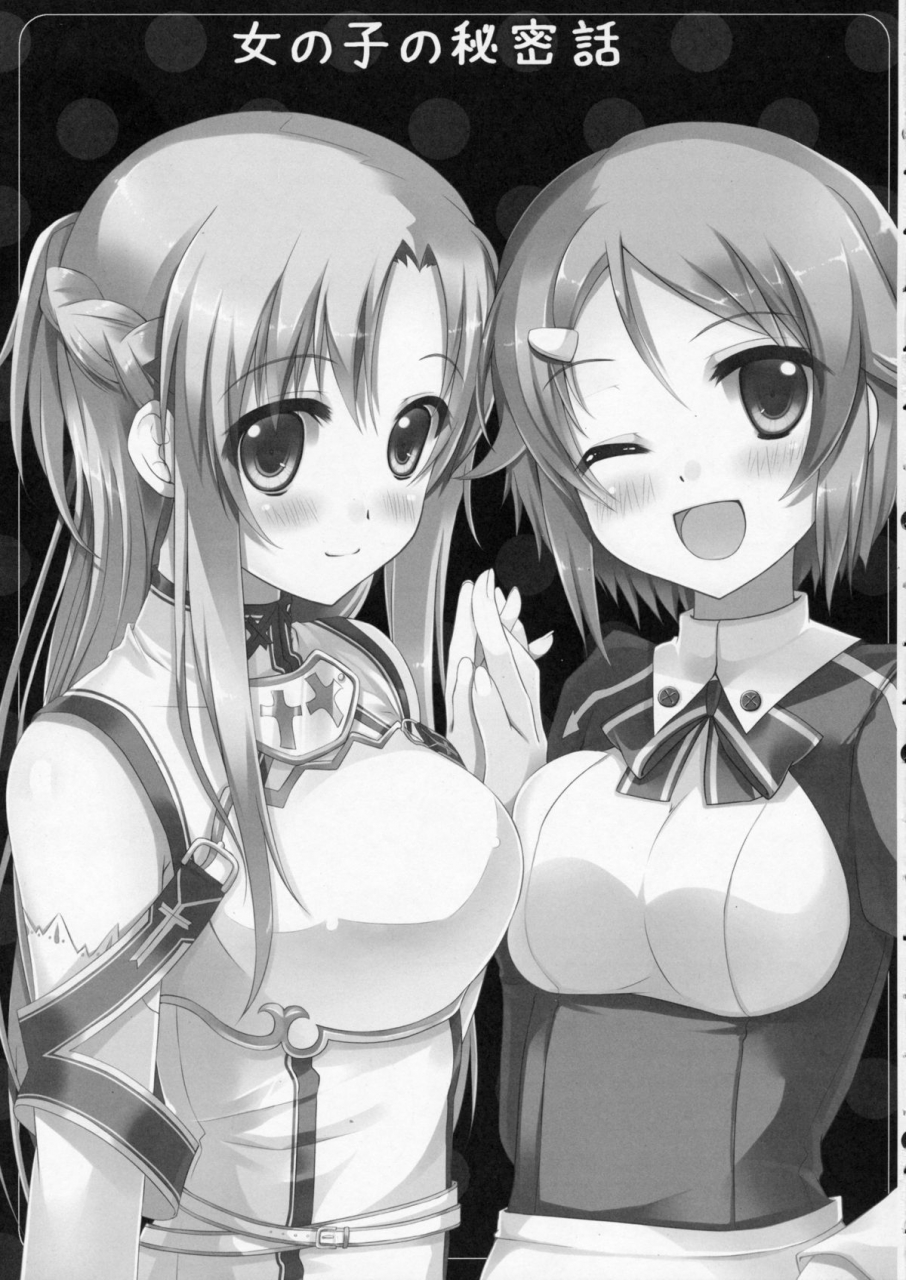 sc56-twin-box-hanahanamaki-sousouman-onnanoko-no-himitsubanashi-sword-art-online-english-himadakara