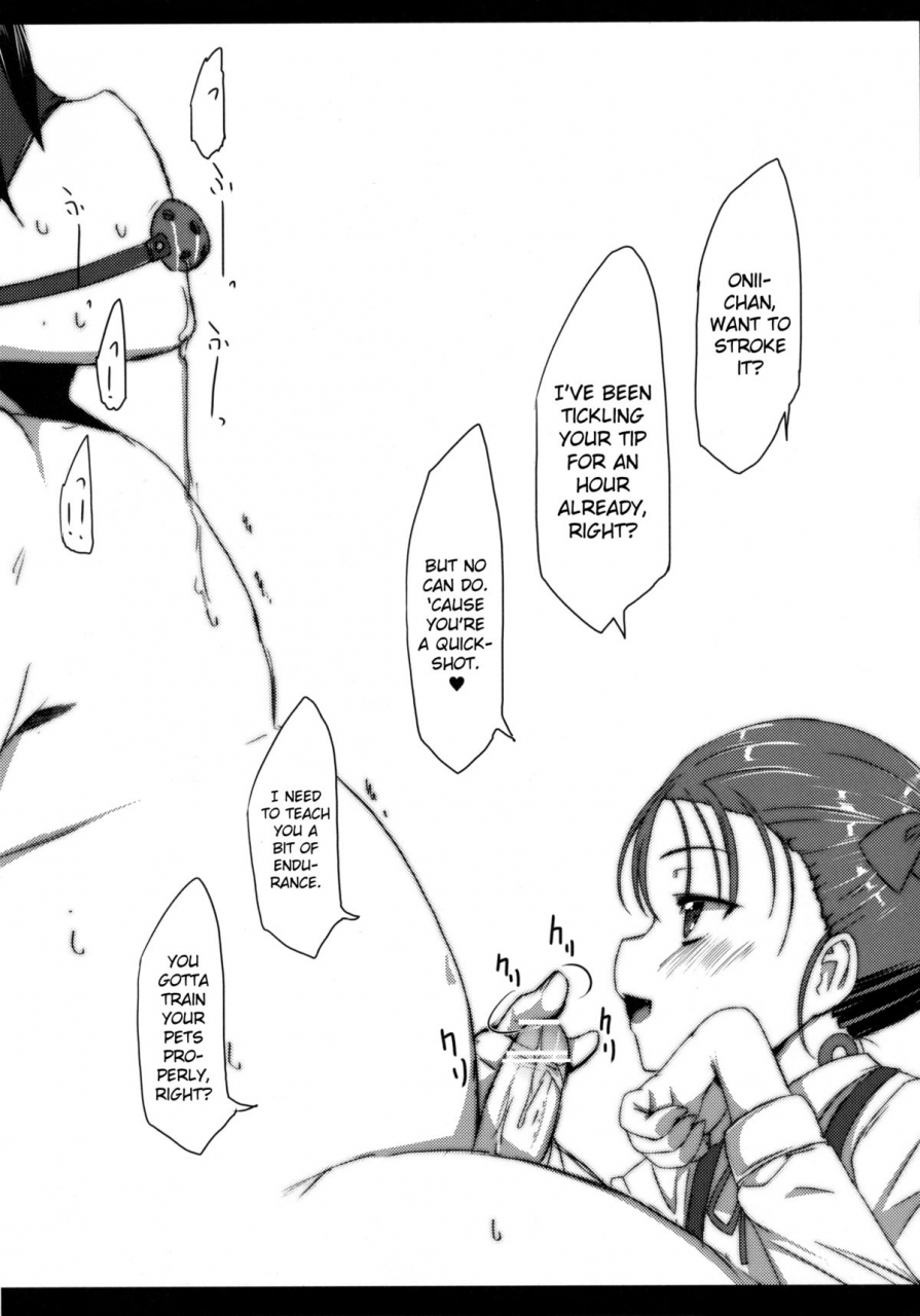 sc56-waffle-doumeiken-tanaka-decilitre-buta-san-choukyou-kansatsu-enikki-observation-picture-diary-of-training-a-pig-accel-world-english-biribiri