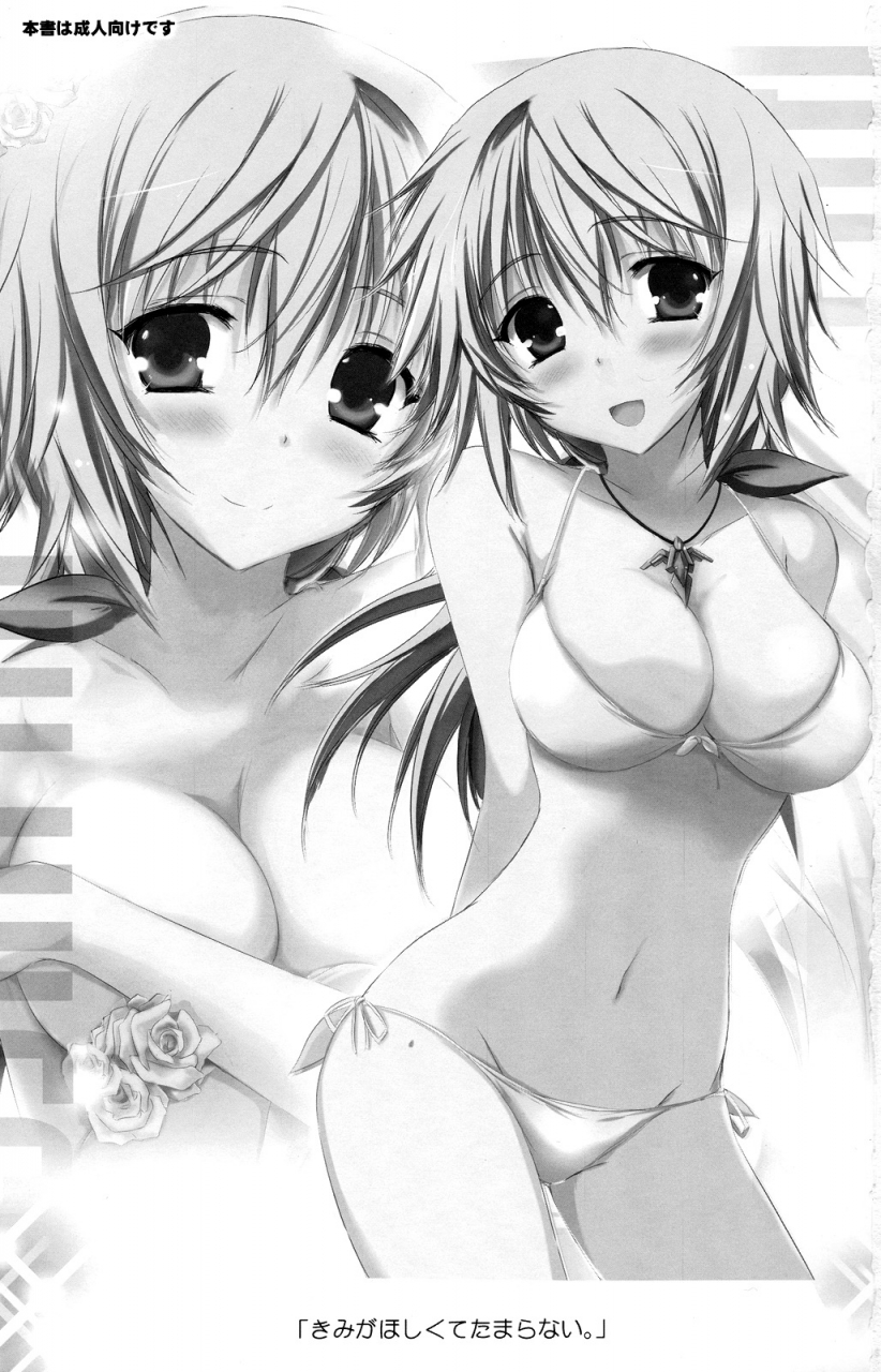 sc57-sonic-winter-tsukishima-kai-kimi-ga-hoshikute-tamaranai-cant-stop-loving-you-is-infinite-stratos-english-rapid-switch