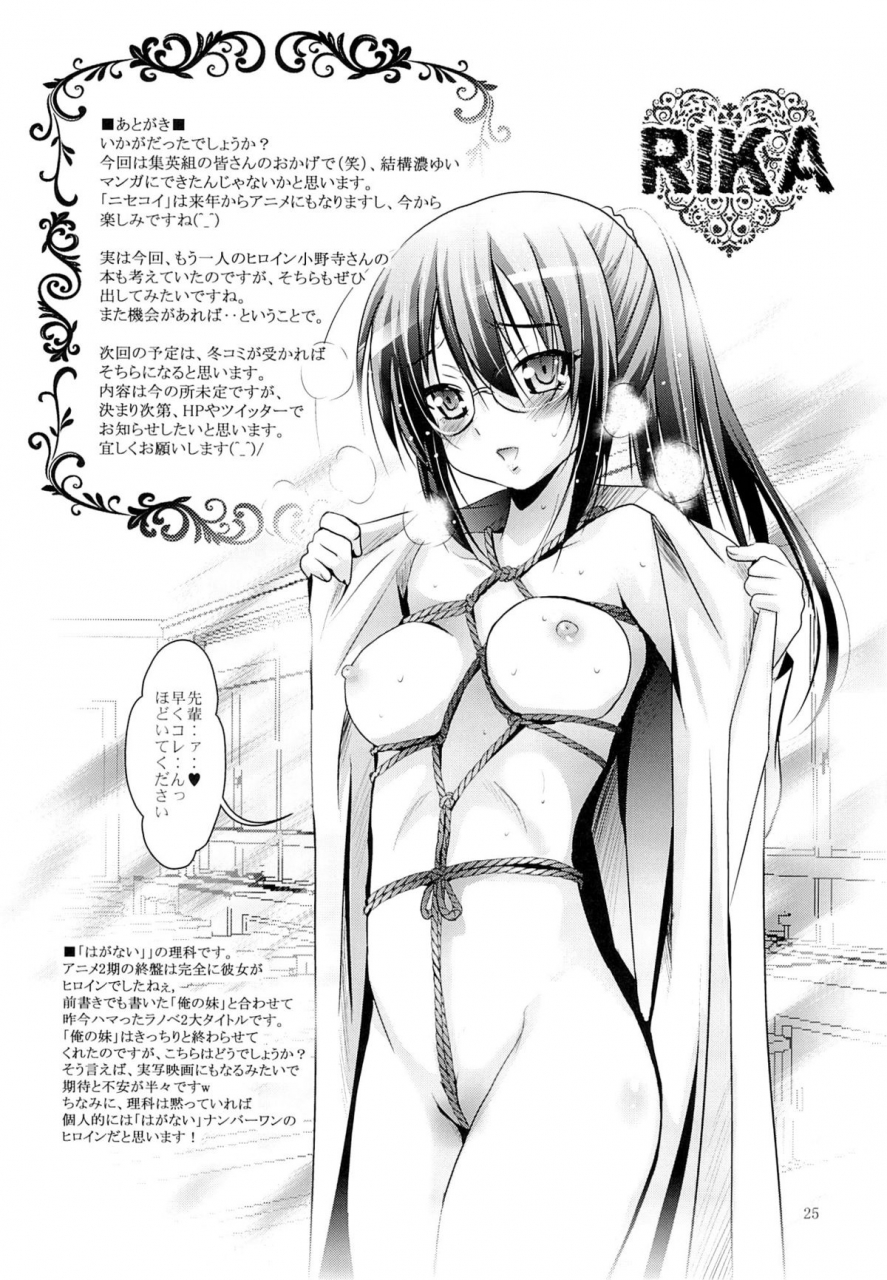 sc61-studio-big-x-arino-hiroshi-mousou-theater-43-nisekoi-english-fateburn-family