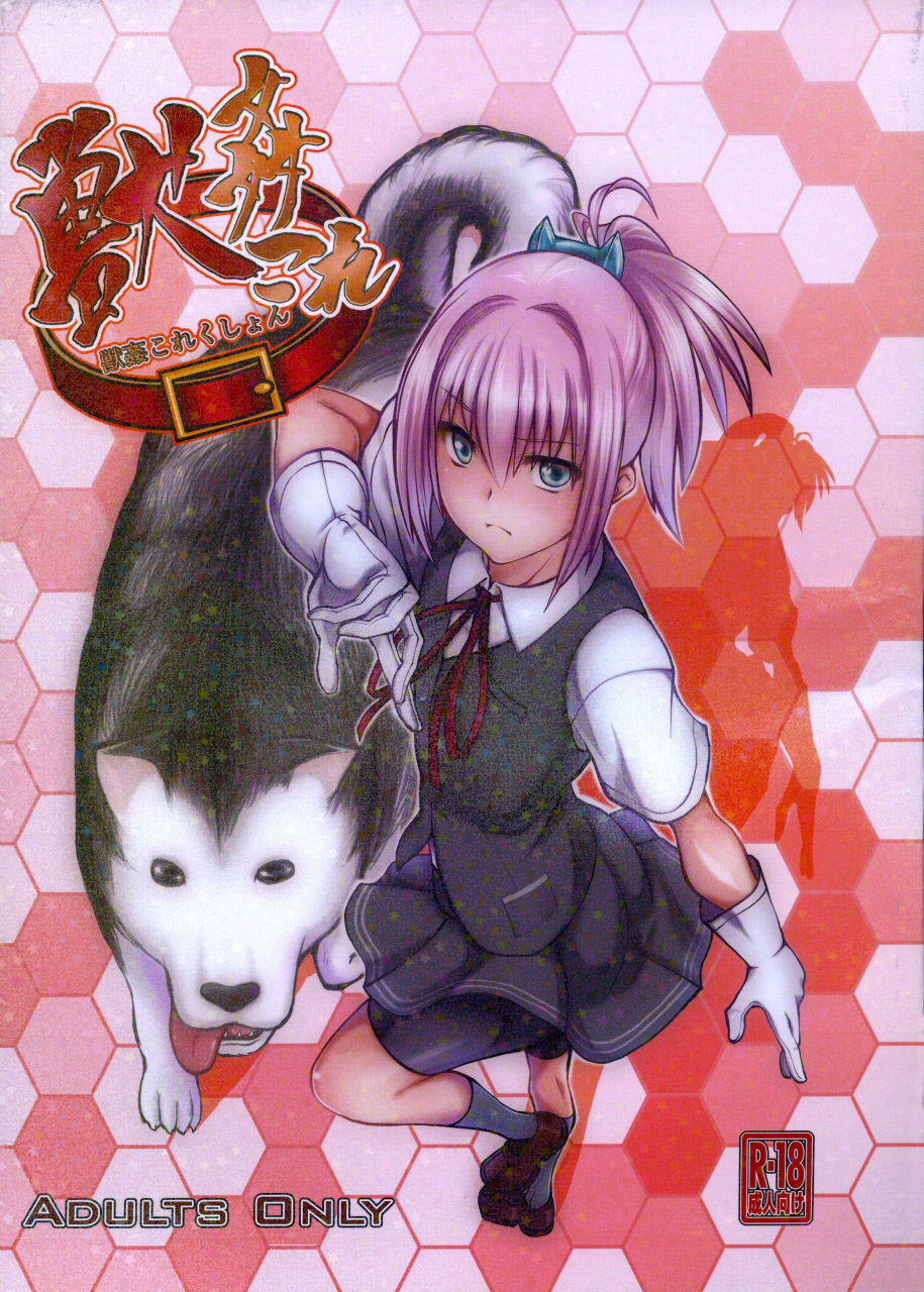 sc61-zensoku-rider-tenzen-miyabi-juukan-collection-kantai-collection-kancolle-english