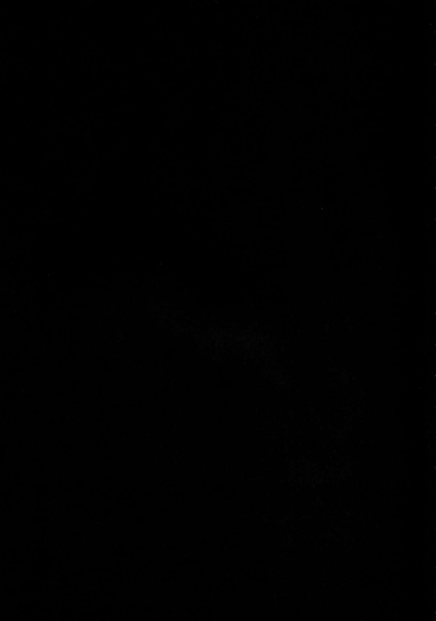 sc64-noraneko-no-tama-yukino-minato-sora-no-hate-made-to-the-end-of-the-sky-english-mant