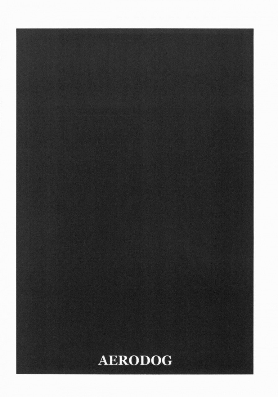 sc65-aerodog-inu-ritsuko-play-765-school-jersey-the-idolm-at-ster-english-doujin-moeus