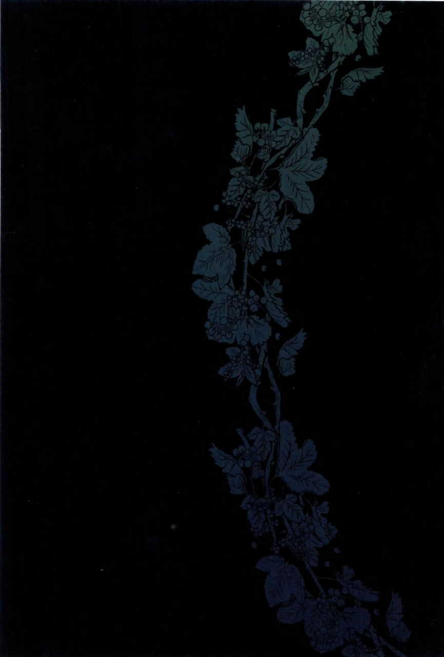 spark12-sainome-sunako-hariko-no-tora-no-aishikata-how-to-love-a-papier-mache-tiger-boku-no-hero-academia-english-hopeless408