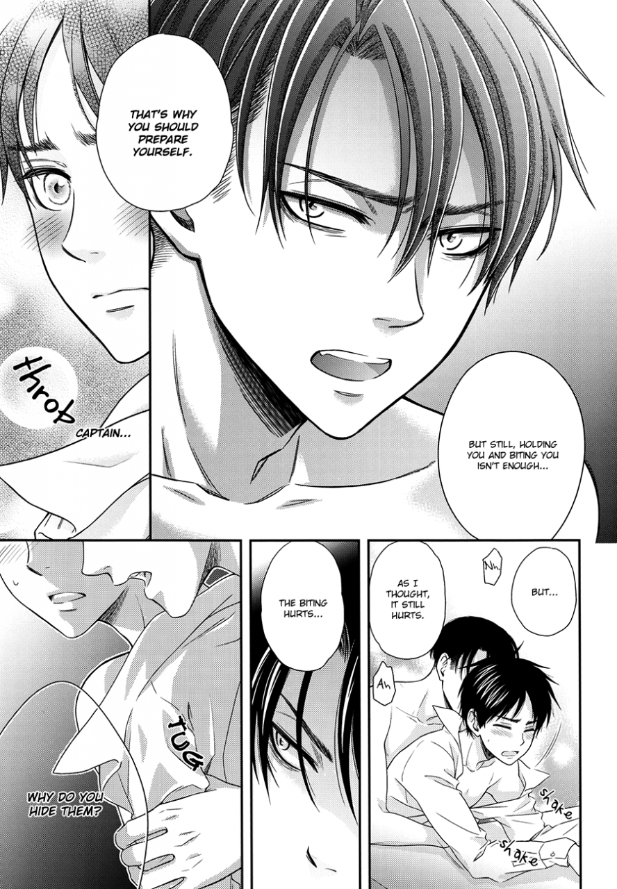 spark8-color-cube-yomi-sign-shingeki-no-kyojin-english-baka-dumb-aho-scans