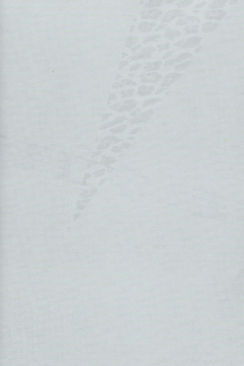 spark8-inumog-fujino-marumo-kimi-to-nekomimi-kuroko-no-basuke-english-rgote-scans