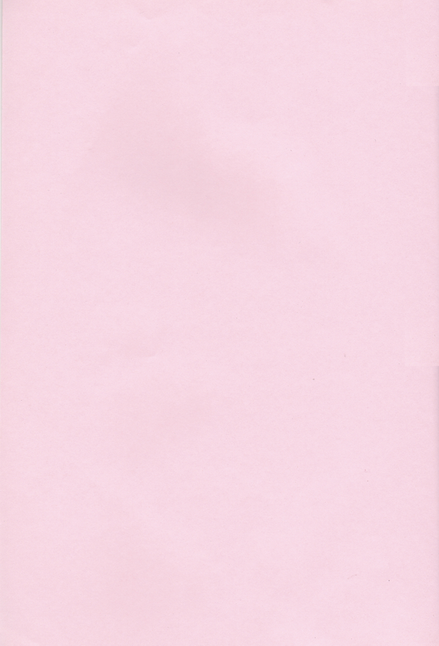 super14-ponchees-kari-irohane-sui-strawberry-on-the-shortcake-bleach-english-boroiheya