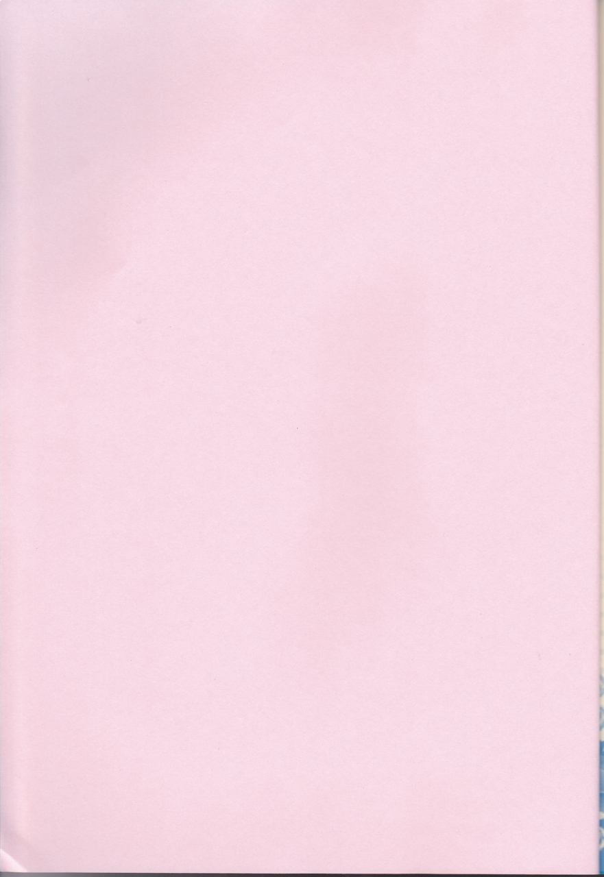 super19-yuimari-z-aizawa-yuito-lovely-fighter-sengoku-basara-english-biribiri