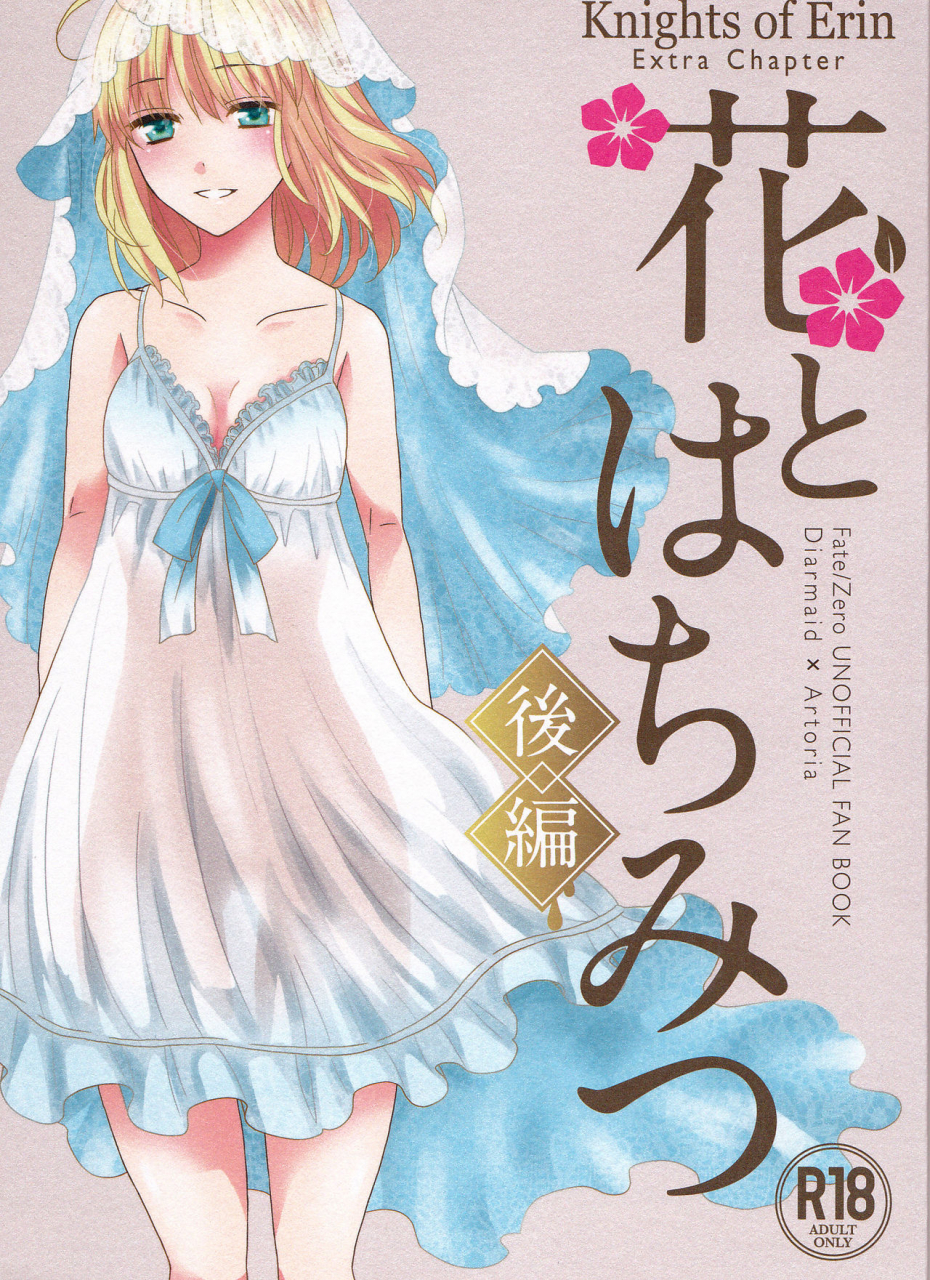 super25-blow-umehara-suzuko-hana-to-hachimitsu-kouhen-fatezero-english-biribiri