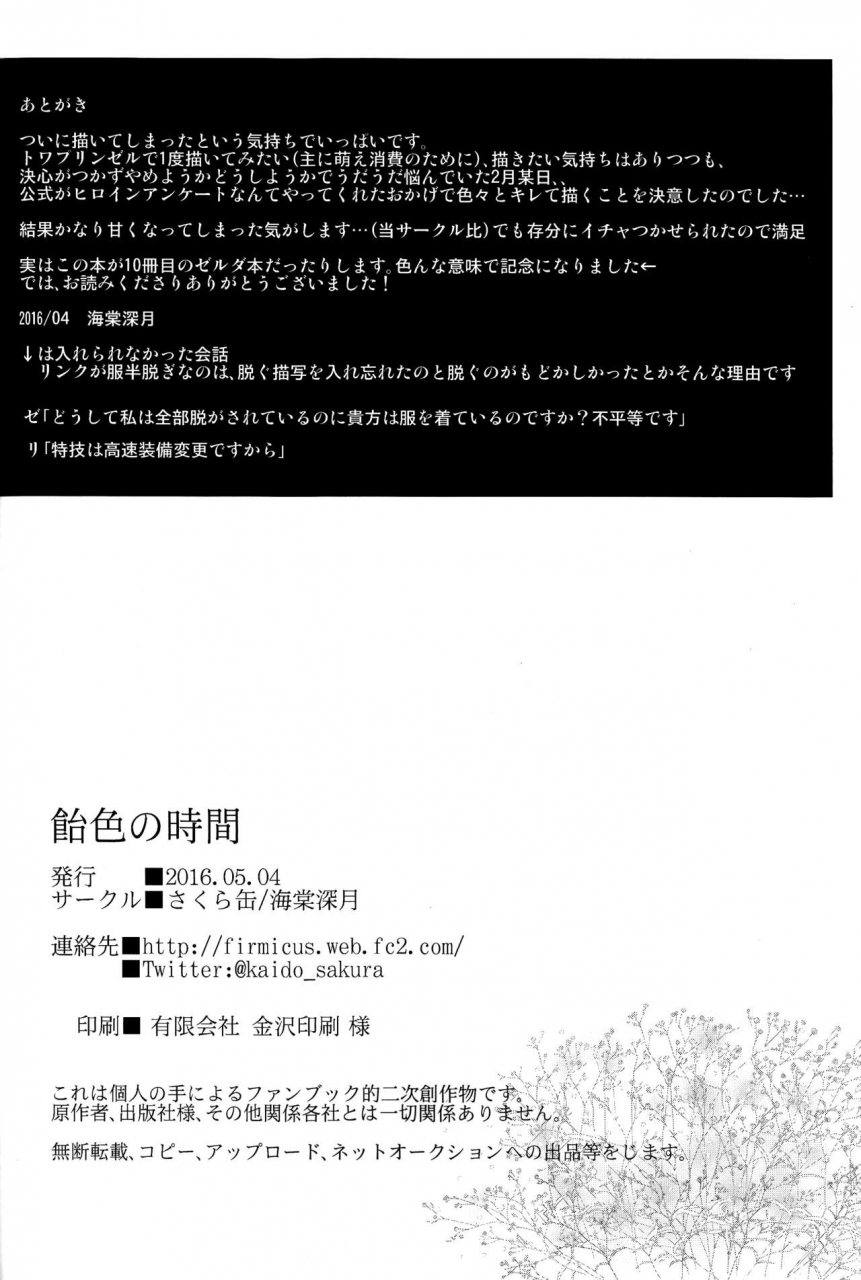 super25-sakurakan-kaidou-mizuki-ameiro-no-jikan-amber-times-the-legend-of-zelda-english-ehcove