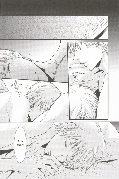 sekai-kaigi-2-fizzcode-satoh-nishiki-anotherdark-axis-powers-hetalia-english