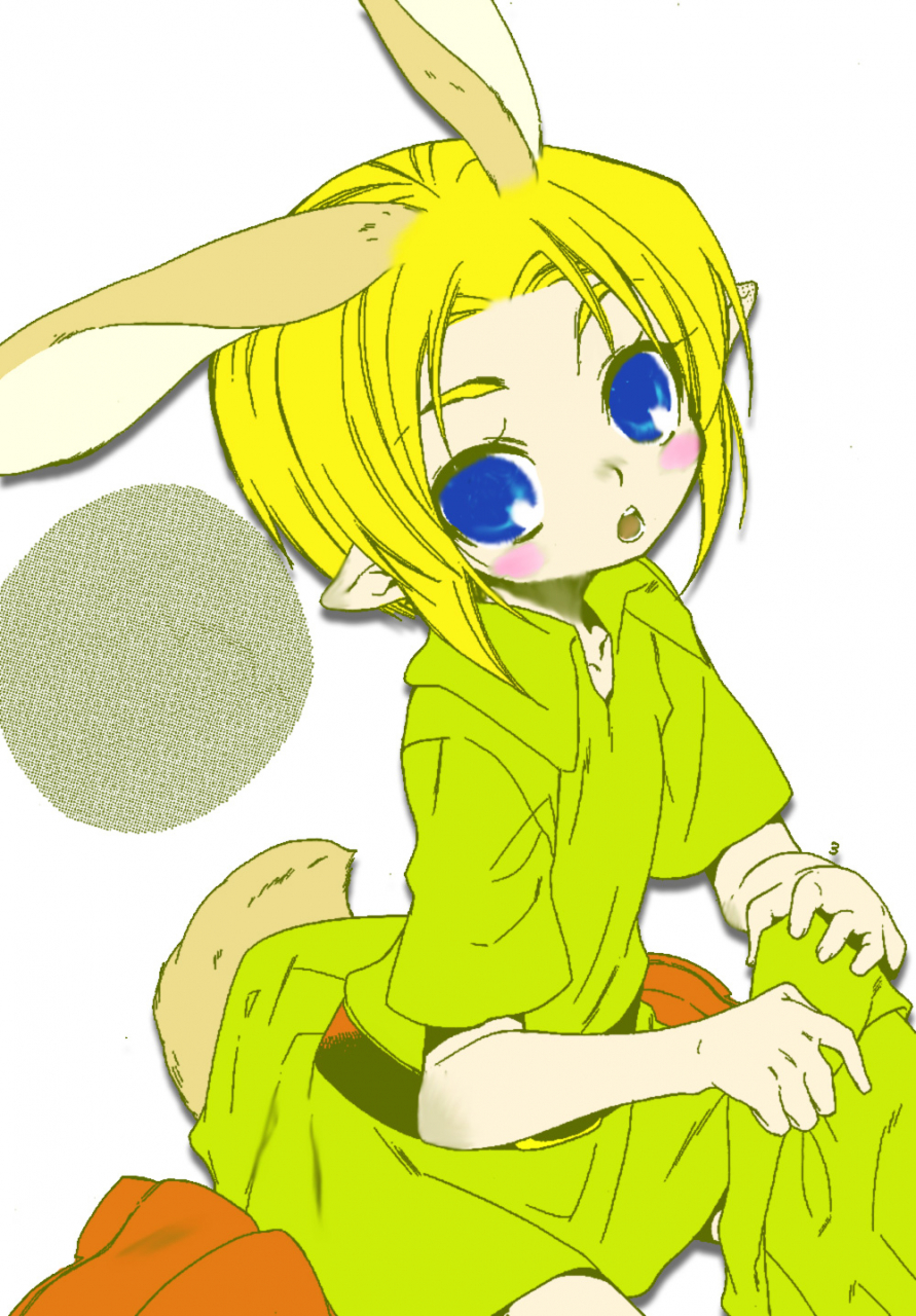 shota-scratch-10-usamimi-zukin-kosuzu-mayonaka-no-naisyo-the-legend-of-zelda-english-busy-bee-translations