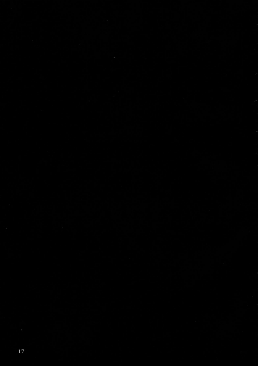 shuuki-reitaisai-2-hakuginmokusei-poshi-alice-ni-yokubou-decoration-touhou-project-english-cgrascal