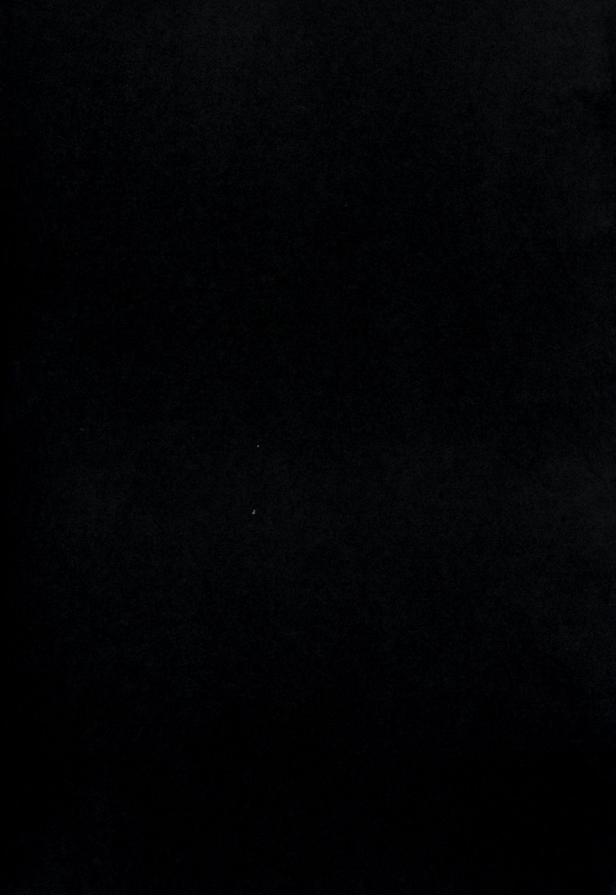 toretama002-yoshizawa-seikatsu-yoshizawa-megane-sekai-no-doku-dakedo-ai-sae-areba-kankeinai-yo-ne-as-long-as-theres-love-it-doesnt-matter-if-he-is-the-worlds-poison-right-granblue-fantasy-english-l-san