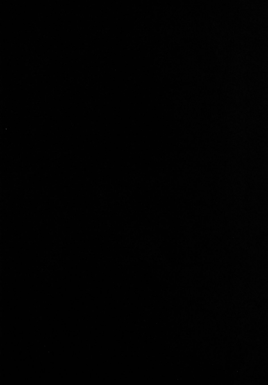 100yenmofa-mirino-youmu-de-manabu-slow-sex-learning-slow-sex-with-youmu-touhou-project-english-pesu-digital