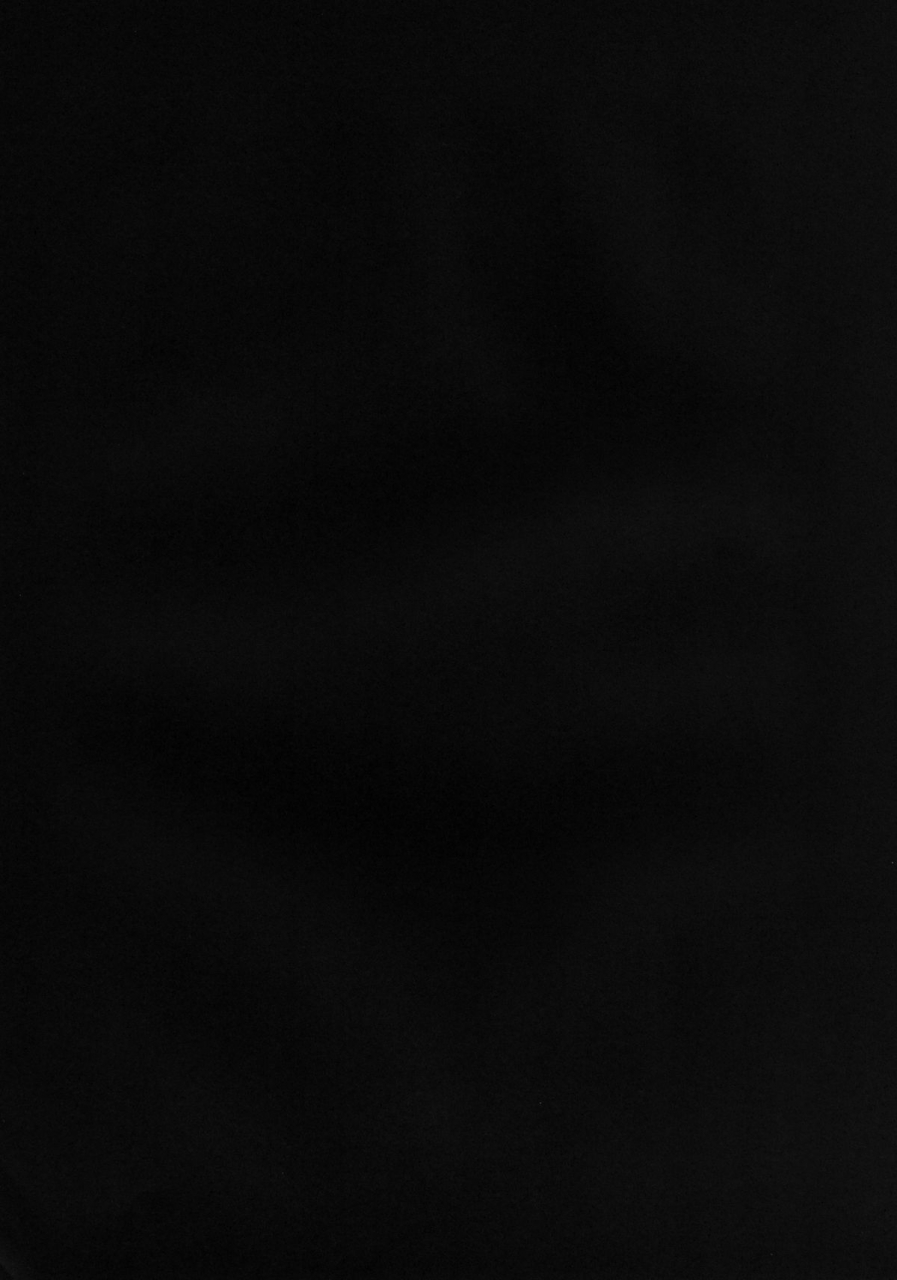 amagi-an-ironworks-ebisu-hobbys-block-13-goddesses-orgies-hyperdimension-neptunia-english-none123-digital