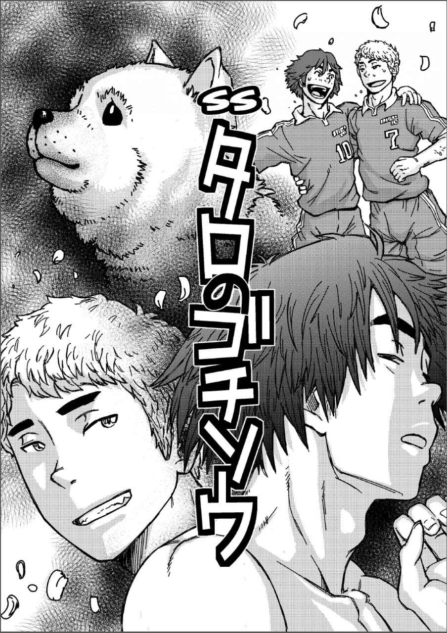 about-aabe-kou-saimin-han-kyousei-hatten-train-english