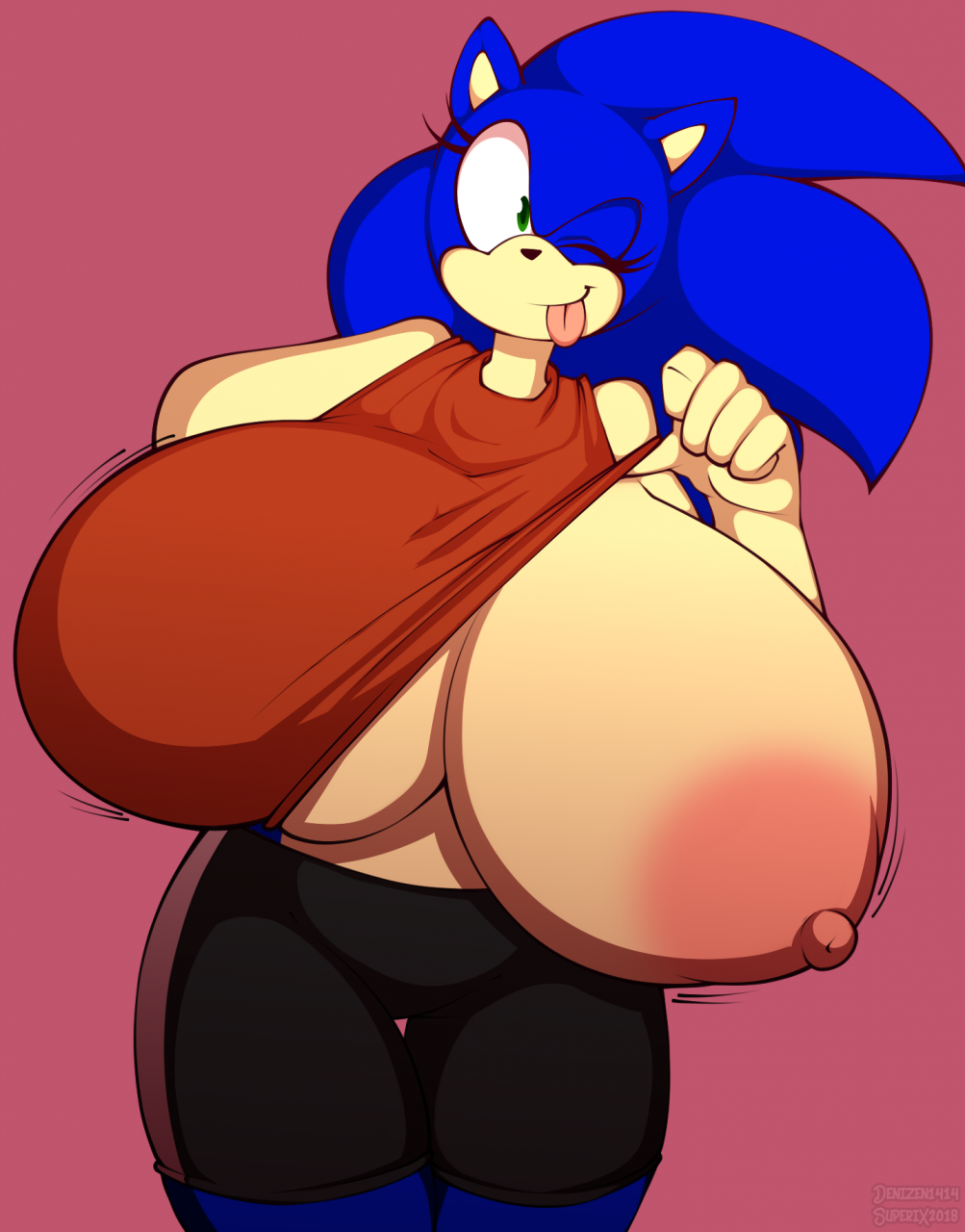 sonic the hedgehog Hentai galleries.com