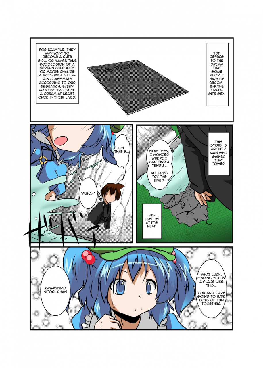 ameshoo-mikaduki-neko-touhou-ts-monogatari-nitori-hen-touhou-project-english