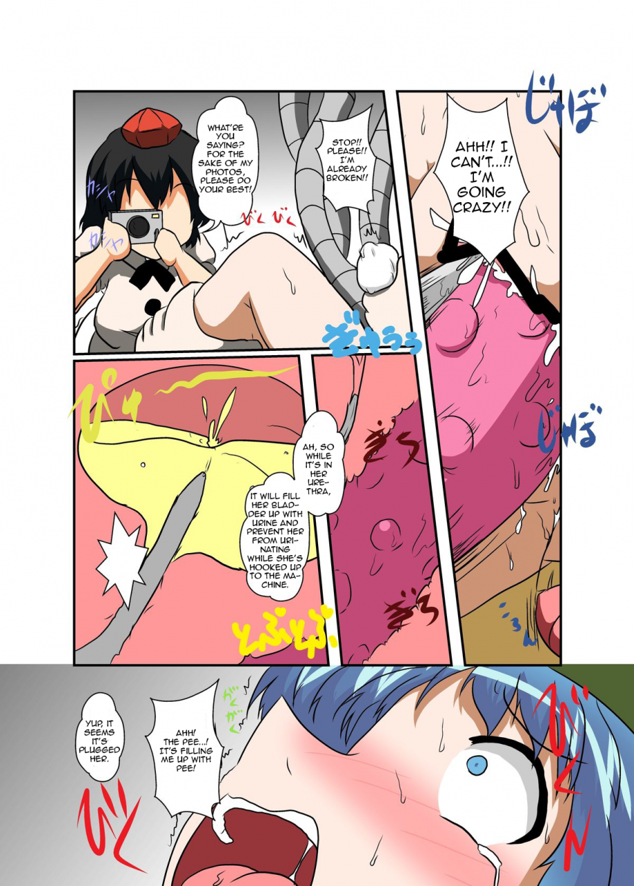 ameshoo-mikaduki-neko-touhou-ts-monogatari-nitori-hen-touhou-project-english