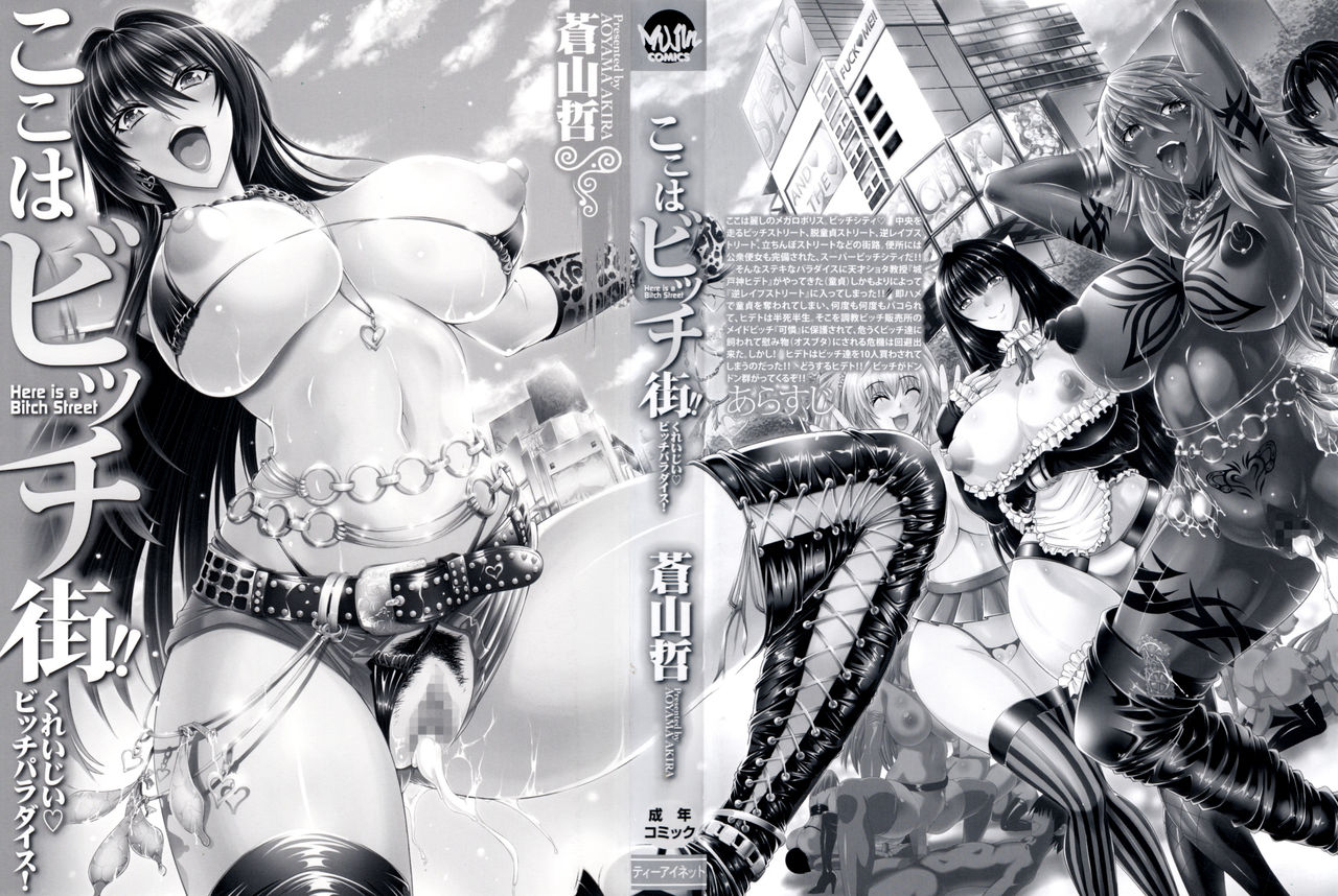 aoyama-akira-koko-wa-bitch-gai-here-is-a-bitch-street-english-desudesu-saha-doujin-moeus