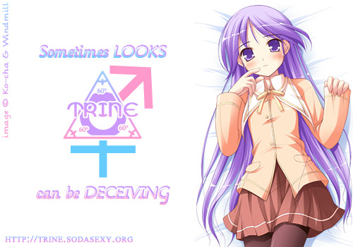 araki-kanao-the-room-no-ones-in-eng