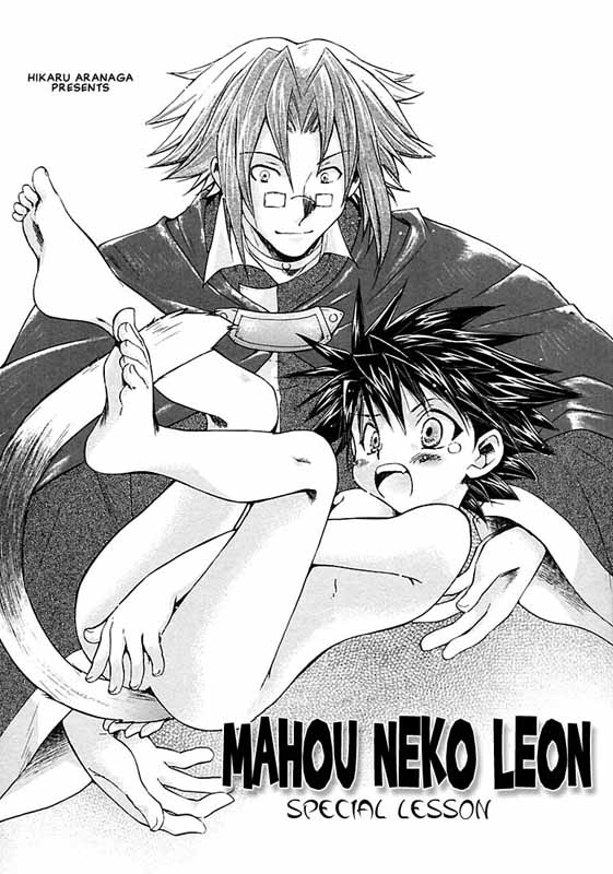 aranaga-hikaru-mahou-neko-leon-special-lesson-shounen-ai-no-bigaku-05-the-seitsuu-english