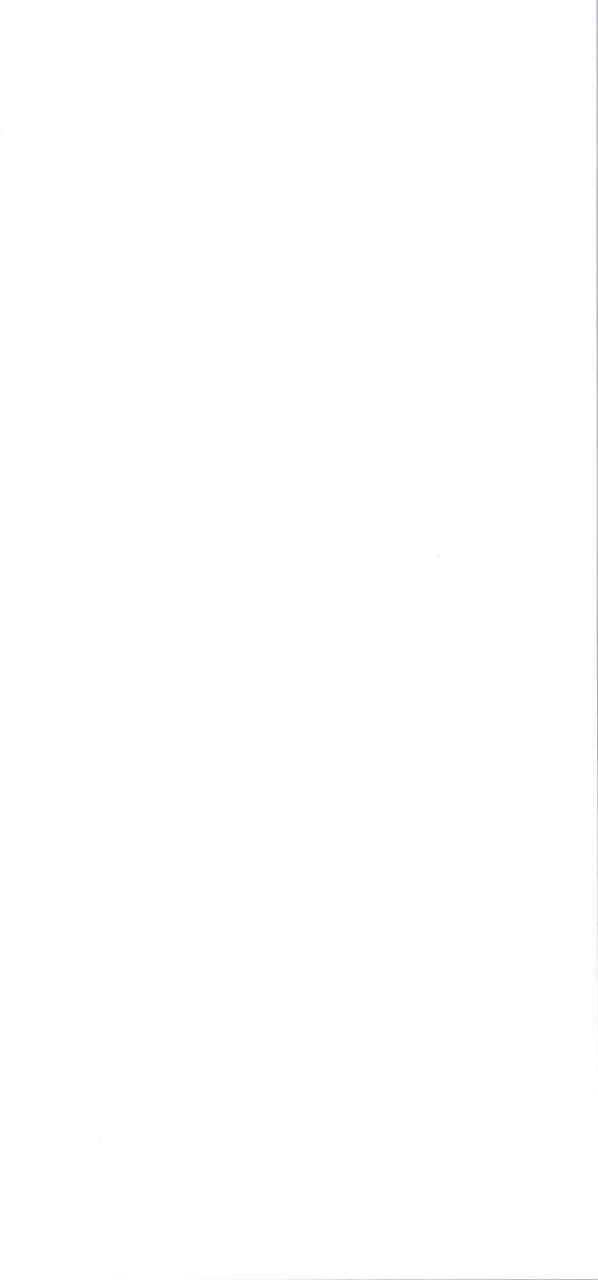 aroma-gaeru-numahana-rinko-mama-to-tsukurou-gundam-build-fighters-english-brolen-digital