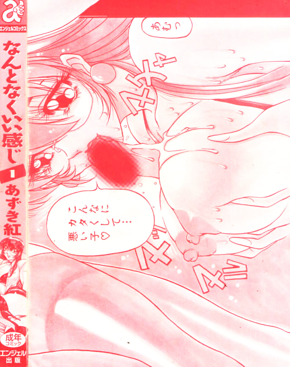 azuki-kurenai-nan-to-naku-ii-kanji-1-wonderful-feeling-1-english-tadanohito