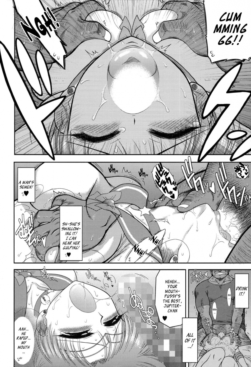 black-dog-kuroinu-juu-made-in-heaven-jupiter-kanzenban-bishoujo-senshi-sailor-moon-2014-03-15-english-ragdoll