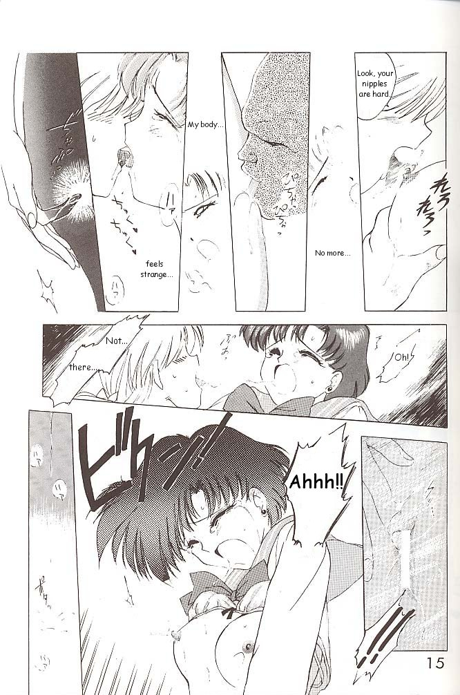 black-dog-kuroinu-juu-star-platinum-bishoujo-senshi-sailor-moon-english