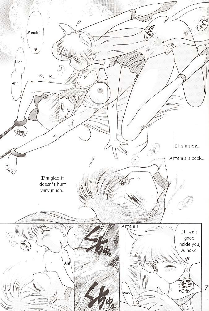 black-dog-kuroinu-juu-star-platinum-bishoujo-senshi-sailor-moon-english