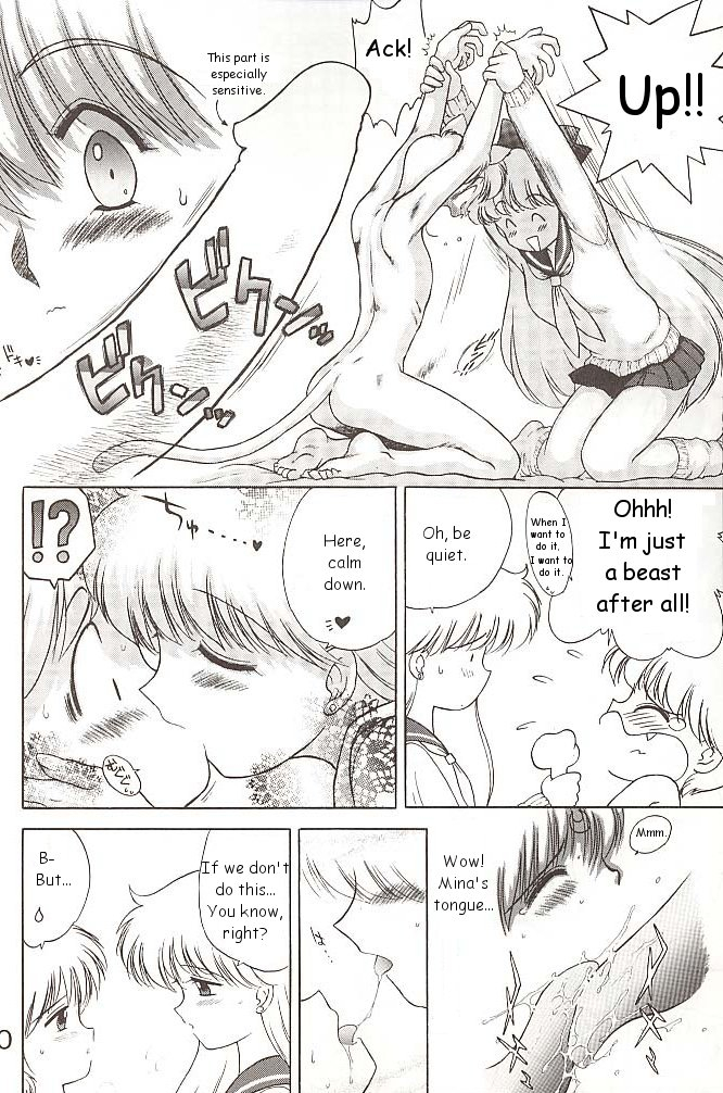 black-dog-kuroinu-juu-star-platinum-bishoujo-senshi-sailor-moon-english