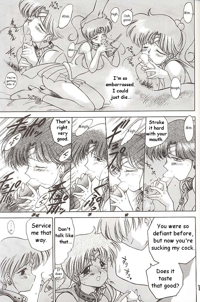 black-dog-kuroinu-juu-star-platinum-bishoujo-senshi-sailor-moon-english