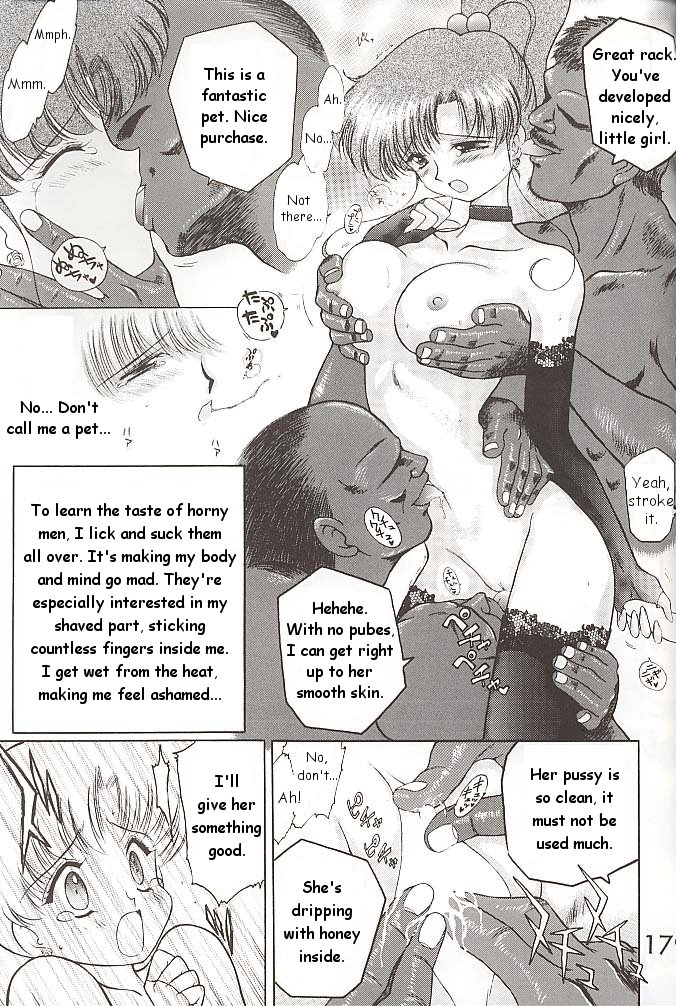 black-dog-kuroinu-juu-star-platinum-bishoujo-senshi-sailor-moon-english