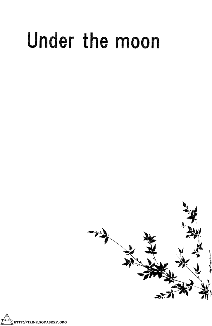 be-there-setsuna-kai-under-the-moon-tales-of-symphonia-english