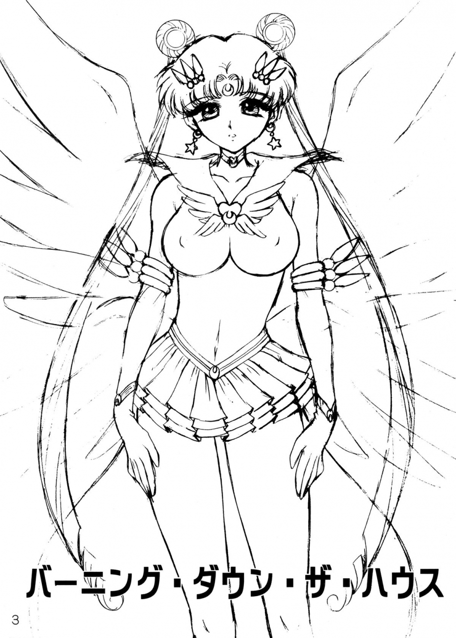 black-dog-kuroinu-juu-burning-down-the-house-sailor-moon-2004-09-22-english-phantom