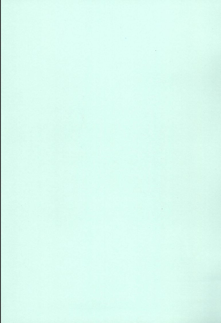 bosshi-radical-gogo-babypineapples-r-us-eng-complete