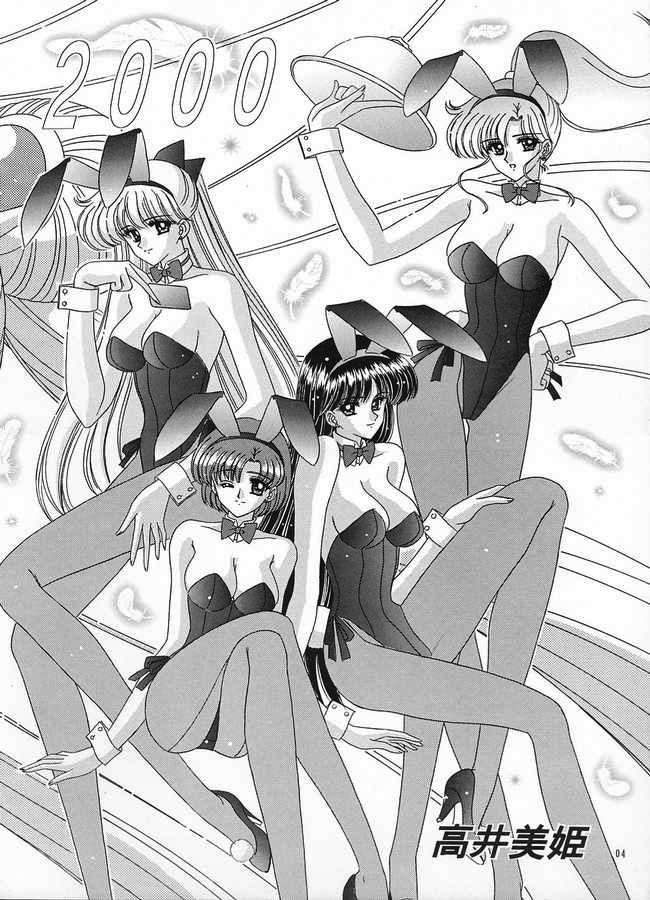 bousou-fuhatsudan-takai-biki-watashi-no-megami-sama-bishoujo-senshi-sailor-moon-english-ragdoll