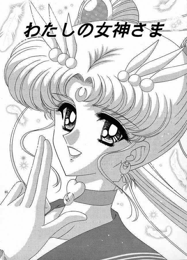 bousou-fuhatsudan-takai-biki-watashi-no-megami-sama-bishoujo-senshi-sailor-moon-english-ragdoll