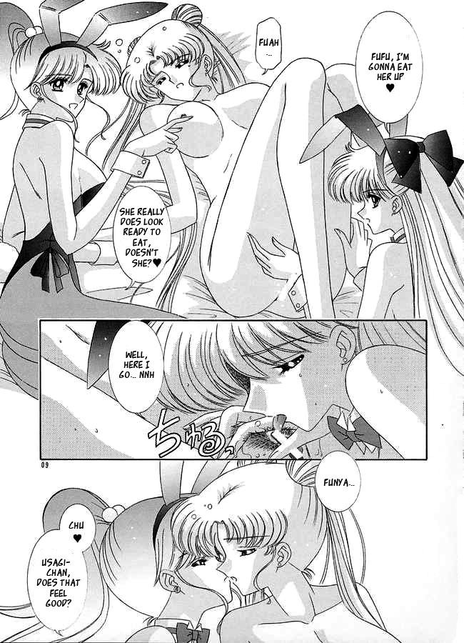 bousou-fuhatsudan-takai-biki-watashi-no-megami-sama-bishoujo-senshi-sailor-moon-english-ragdoll