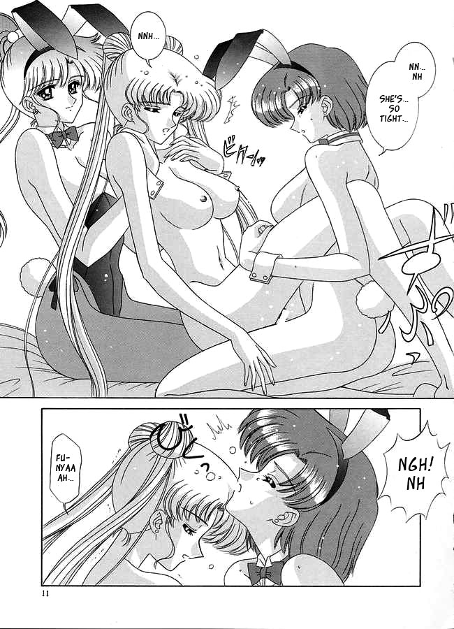 bousou-fuhatsudan-takai-biki-watashi-no-megami-sama-bishoujo-senshi-sailor-moon-english-ragdoll