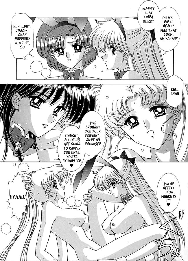 bousou-fuhatsudan-takai-biki-watashi-no-megami-sama-bishoujo-senshi-sailor-moon-english-ragdoll