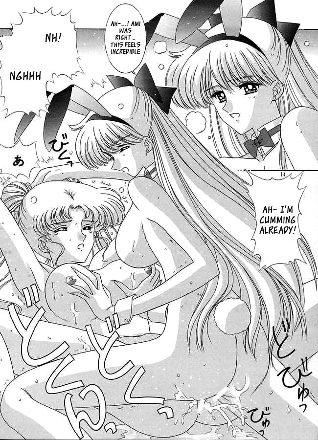 bousou-fuhatsudan-takai-biki-watashi-no-megami-sama-bishoujo-senshi-sailor-moon-english-ragdoll