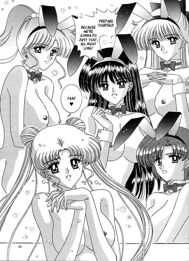 bousou-fuhatsudan-takai-biki-watashi-no-megami-sama-bishoujo-senshi-sailor-moon-english-ragdoll