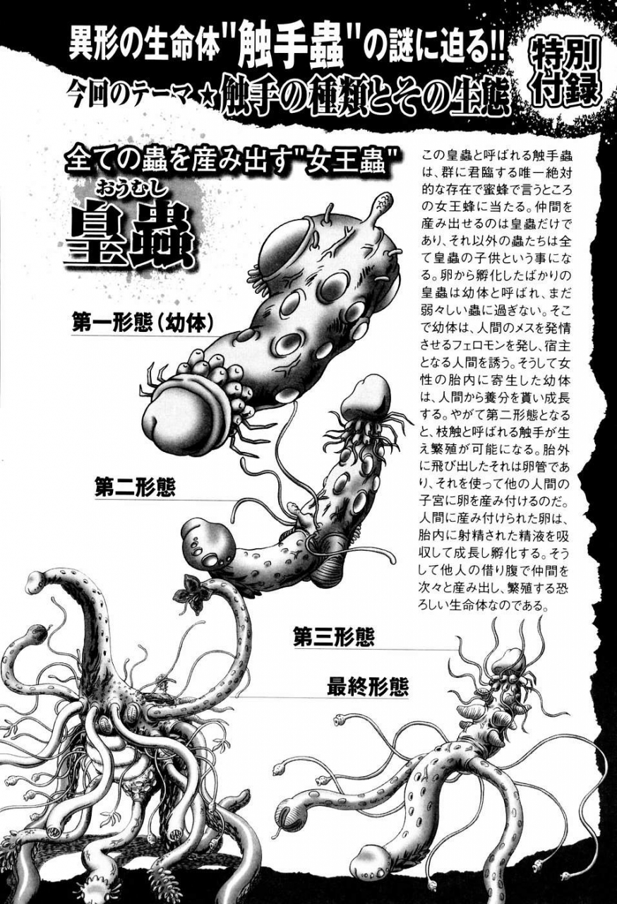 bow-rei-himitsu-no-hanazono-english