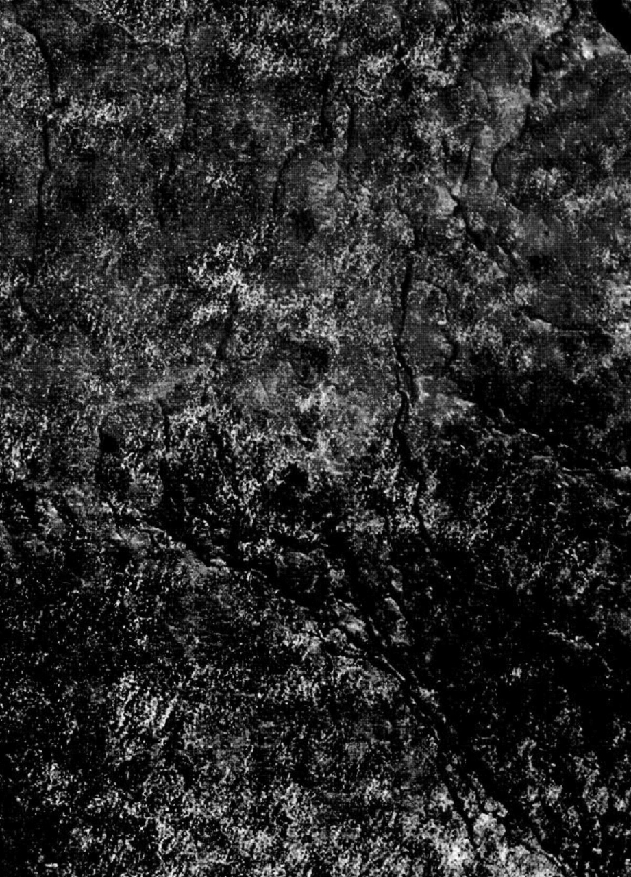 bronco-hitoritabi-uchi-uchi-keyaki-otome-ninpouchou-shoujo-sange-senran-kagura-english-doujin-moeus-digital