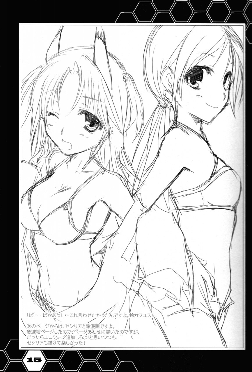 chagashi-saiban-yamabuki-mook-chinas-reality-infinite-stratos-english-life4kaoru